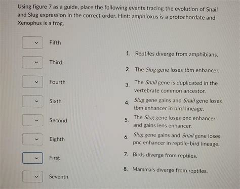 Solved Using figure 7 as a guide, place the following events | Chegg.com