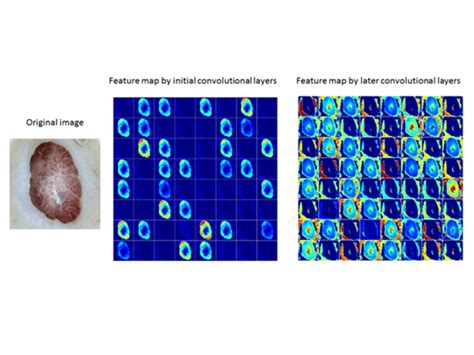 Image result for Convolution Layer