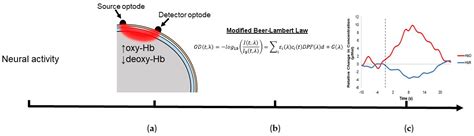 Data Processing in Functional Near-Infrared Spectroscopy (fNIRS) Motor ...