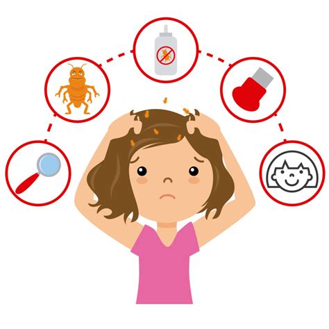 What About the Nits? How to Remove Nits | WelComb