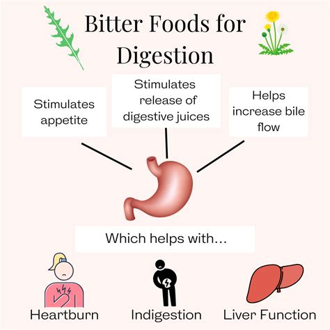 Bitter Foods to Help with Digestion | Digestive juice, Gut health recipes, Bitters recipe