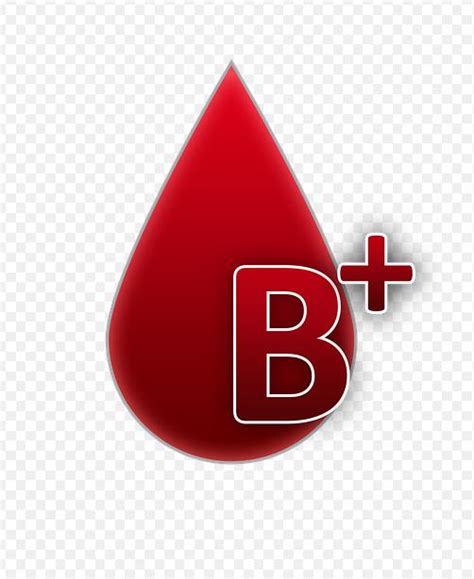 B型血的人性格特征特点分析 - 第一星座网