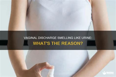 Vaginal Discharge Smelling Like Urine: What's The Reason? | MedShun