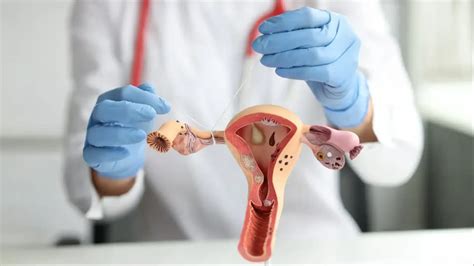 Tubal Reversal Abroad: Comprehensive Guide