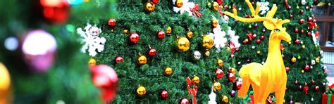 Christmas in Shanghai - Events and Touring