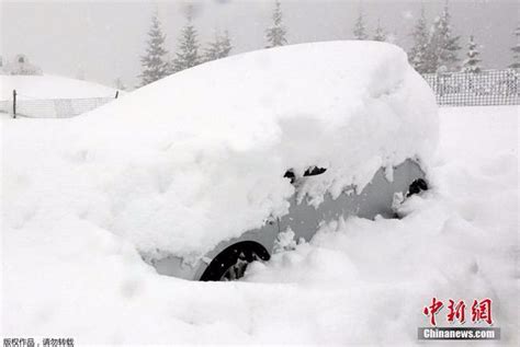 意大利遭大雪袭击 造成民众出行困难(图)-浙江在线