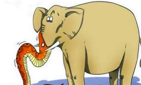 象声词的象是什么意思,相与象、相的区别,像字和象字区别意思_大山谷图库