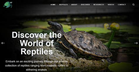 Image result for Reptile HTML CSS JavaScript Code