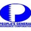 Image result for Permanent General Insurance Group