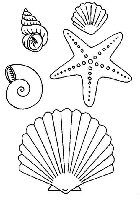 Coloring Pages Sea Shells at GetDrawings | Free download