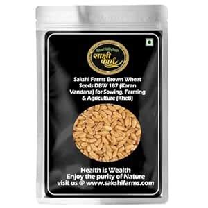 Sakshi Farms Brown Wheat Seeds | Pussa DBW 187 | (Karan Vandana ...
