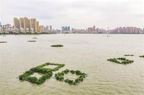 武汉四大举措提升南湖水环境 力争2021年实现_城市