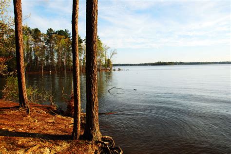 Best Campgrounds Near Lake Murray SC