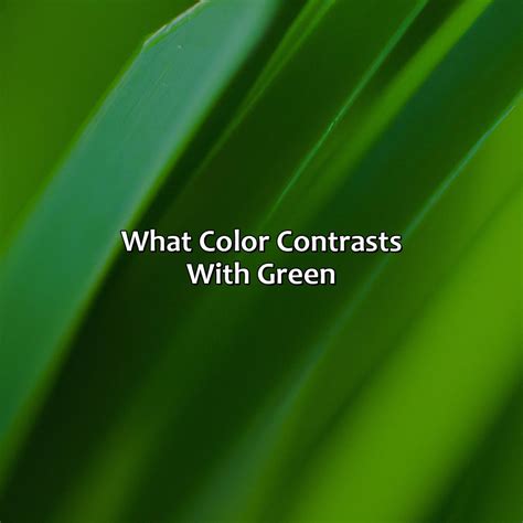 What Is A Split Complementary Color Scheme - colorscombo.com