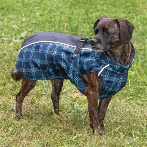 Waterproof Dog Coats Regatta at Sherron Ferraro blog