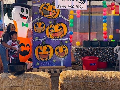 PUMPKIN PATCH | COLUMN | Daytona Park(FREAK'S STORE公式通販)
