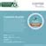 Premium Coffeehouse Variety Pack | Keurig