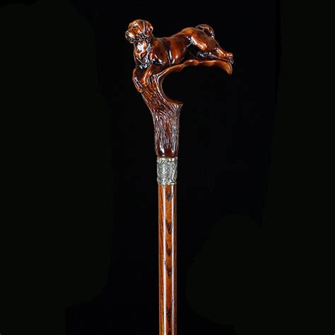 Image result for Cane Labrador