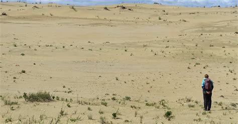 Whispers of ancient life found in an obsidian tool kit in the Alaska ...
