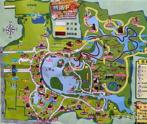 上海野生动物园一日游如何规划才好？ - 知乎