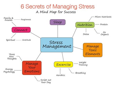 stress causes