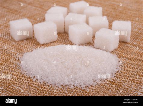 Sugar Cane Farm Minecraft 的图像结果