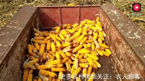 广西农业科学院官网