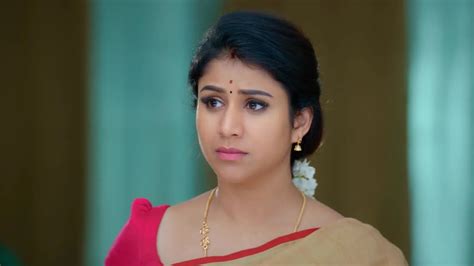 Paarijatham TV Serial Online - Watch Latest Show Episodes on ZEE5