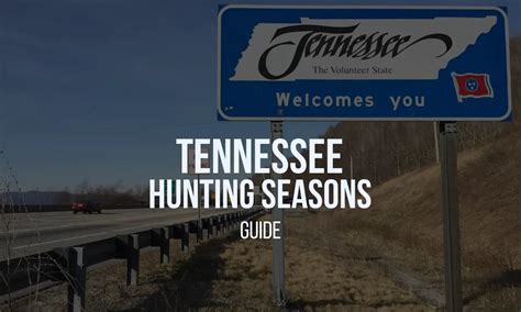 Tennessee Hunting Seasons 2025-26: Dates, Regulations, Licenses