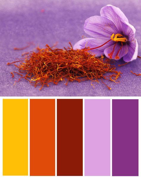 Image result for Saffron Color