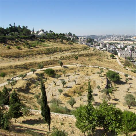 47 beautiful photos of jerusalem from the mount of olives to the upper ...
