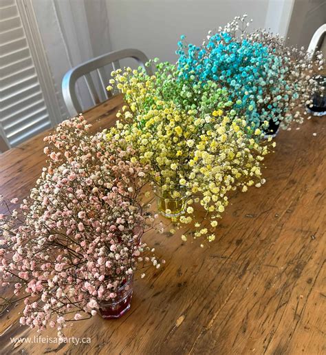 How Are Flowers Dyed: Easy Diy Techniques For Vibrant Blooms