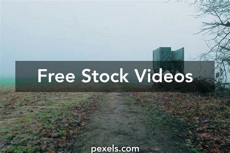 Image result for Path Download Tutorial