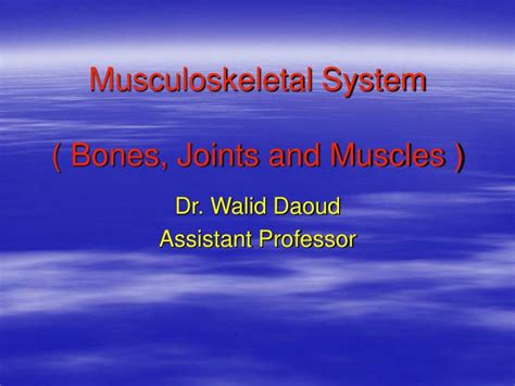 Image result for Musculoskeletal System Joints