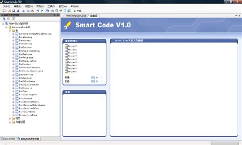 SmartCode Programming 的图像结果