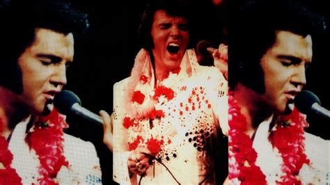 Screen Split 2004 的图像结果