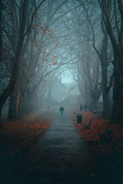 Foto profissional gratuita de @exterior, alameda, arborizada, árvores ...