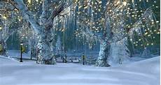 winter holiday winter snapped in the predawn light a winter holiday winter snapped in the predawn light a