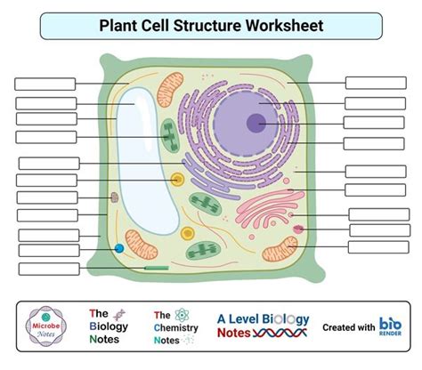 Cell Structure Unlabeled 的图像结果