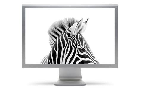 Image result for Zebra Status Monitor