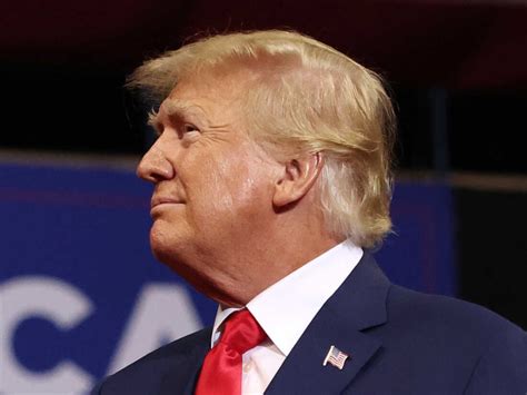 Independent Politician 的图像结果