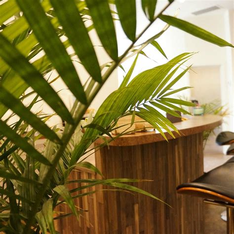 Rest Nest Float Club (2026) - Alles wat u MOET weten voordat je gaat ...