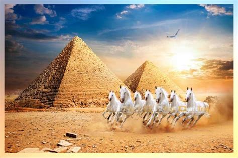 feng shui 7 horses giza pyramid sunrise vastu large size painting