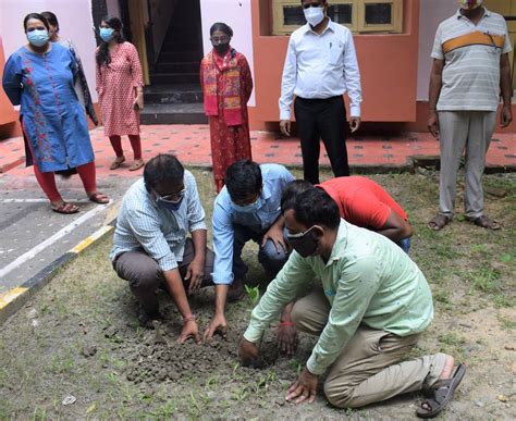 Report on Plantation Drive on ICAR’s 93rd Foundation Day | Official ...
