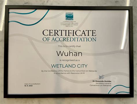 国际证书！武汉获得这项全球最高荣誉→_湿地_潜鸭_城市
