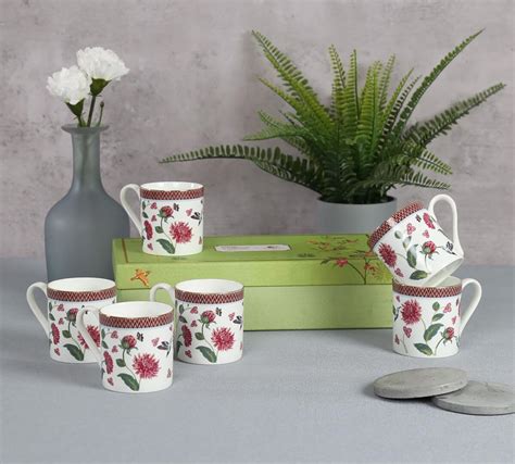 Buy India Circus by Krsnaa Mehta Petal Perfection Melon Tea and Coffee ...