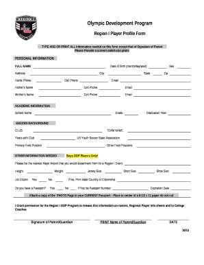 Player Profile Template Excel | pdfFiller