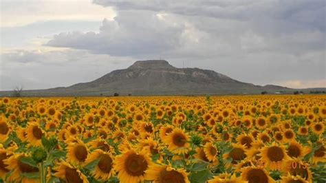 Quay County Sun - Quay County Sun added a new photo.