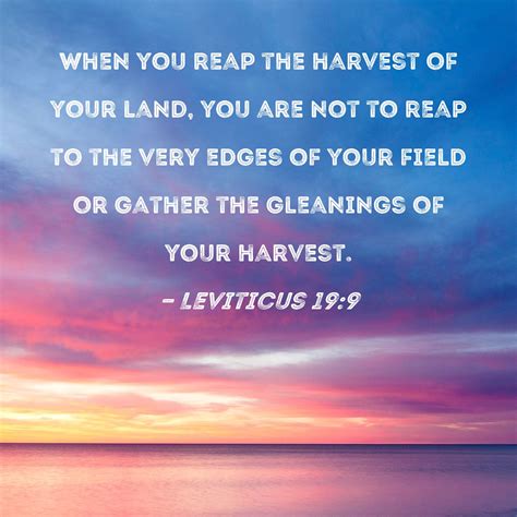Leviticus 19:9 When you reap the harvest of your land, you are not to ...