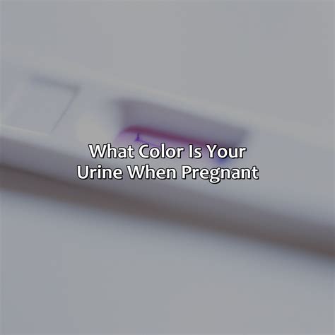 Does Pregnancy Affect Urine Color at Christian Brown blog